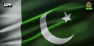 یوم آزادی نیشنل گرڈ کمپنی آف پاکستان (این جی سی) کے زیراہتمام پاکستان کا 80 واں یوم آزادی جوش و جذبے کے ساتھ منایا گیا