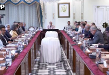 ہنرمند، باصلاحیت نوجوانوں کو روزگار کی فراہمی حکومت کی اولین ترجیحات میں شامل ہے،وزیراعظم شہباز شریف