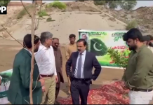 سرسبز و شاداب ملتان کیلئے شجرکاری مہم تیز، کلوز مائنز سائٹ پر 200 سے زائد پودے لگا دیے گئے
