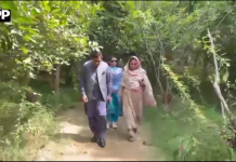 لودھراں میں قومی یومِ شجرکاری، 1200 پودے لگانے کا اعلان