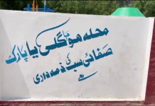 لودھراں: 8 مثالی گاؤں میں بنیادی سہولیات کی فراہمی کا عمل جاری، چک 299 ڈبلیو مکمل