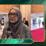 رکن قومی اسمبلی شگفتہ جمانی کی عید میلاد النبی ﷺ کے موقع پر اے پی پی ویڈیو نیوز سروس سے خصوصی گفتگو