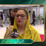 رکن قومی اسمبلی ڈاکٹر شازیہ صوبیہ کی عید میلاد النبی ﷺ کے موقع پر اے پی پی ویڈیو نیوز سروس سے خصوصی گفتگو