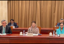 پنجاب اور شن جیانگ کے درمیان زراعت، صنعت، ٹیکنالوجی اور اقتصادی تعاون بڑھانے پر اتفاق
