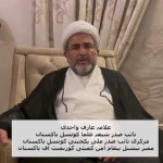 شیعہ علما کونسل کے نائب صدر علامہ عارف حسین واحدی کا سانحہ پمز پر افسوس کا اظہاراور اہم پیغام