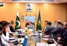 وفاقی وزیرِ ریلوے سے ڈائریکٹر جنرل فرنٹیر ورکس آرگنائزیشن کی ملاقات، تعمیراتی پیش رفت پر تفصیلی بریفنگ