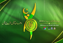 یومِ دفاع و شہداء :شوبز شخصیات بھی وطن سے محبت، قومی یکجہتی اور اتحاد کے جذبے سے سرشار