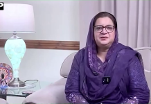 عزم، حوصلے اور جذبے سے مشکلات کا سامنا کرنے والے باصلاحیت افراد ہم سب کے لیے فخر اور حوصلے کی مثال ہیں، سیدہ مہرین ساجد