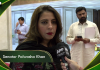 پاکستان نے دشمن کے عزائم کو شکست فاش دی، آئندہ بھی کامیابیوں کا سفر جاری رہے گا: سینیٹر پلواشہ خان