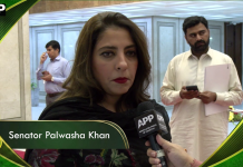 پاکستان نے دشمن کے عزائم کو شکست فاش دی، آئندہ بھی کامیابیوں کا سفر جاری رہے گا: سینیٹر پلواشہ خان