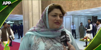 یومِ دفاع اتحاد، قربانیوں اور پاک فوج کے ساتھ یکجہتی کا دن ہے: ڈاکٹر شائستہ خان
