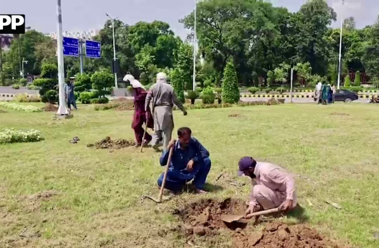 اسلام آباد : سی ڈی اے کا وسیع شجرکاری مہم کا آغاز
