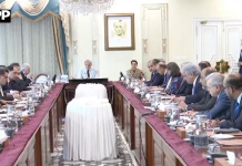 نان ٹیرف اقدامات کا جامع آڈٹ کیا جائے ،تجارت میں حائل غیر ضروری رکاوٹیں دور کی جائیں، محمد شہباز شریف