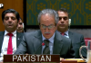 نائن الیون کی 25ویں برسی، پاکستان کا دہشت گردی کے خلاف جنگ میں قربانیوں اور کلیدی کردار پر زور