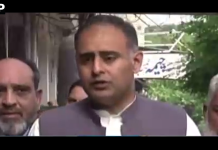 آسان ٹیکس اسکیم چھوٹے کاروباری طبقے کو ٹیکس نظام میں لانے کا اہم قدم ہے: وزیر مملکت بلال اظہر کیانی، گرین پلیٹس کا اجراء شروع