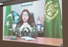ڈیجیٹل تبدیلی کے لیے پاکستان اور جاپان کے درمیان گہرے اشتراکِ عمل کی ضرورت ہے: شزا فاطمہ خواجہ