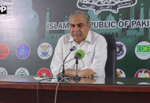 شہداء کسی ایک جماعت یا گروہ کے نہیں بلکہ پاکستان کے شہداء ہیں، محسن نقوی