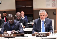فلسطینی عوام کے ساتھ پاکستان کی یکجہتی غیر متزلزل ہے، اسحاق ڈار