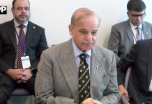 وزیراعظم شہباز شریف کی بوسنیا و ہرزیگووینا کی صدارتی کونسل کے چیئرمین سے ملاقات