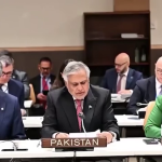 کشمیر پر اوآئی سی رابطہ گروپ اقوام متحدہ اور عالمی فورمز پر متفقہ موقف برقراررکھیں، اسحاق ڈار