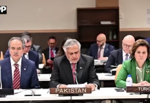 کشمیر پر اوآئی سی رابطہ گروپ اقوام متحدہ اور عالمی فورمز پر متفقہ موقف برقراررکھیں، اسحاق ڈار
