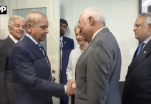 وزیراعظم شہباز شریف کی صدر یورپی کونسل ،صدر یورپی کمیشن سے ملاقات