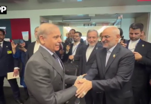 وزیرِ اعظم شہباز شریف کی ایرانی صدر مسعود پیزشکیان سے ملاقات، پاکستان ایران تعلقات اور خطے کی صورتحال پر گفتگو