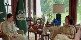 وزیراعلیٰ پنجاب مریم نواز شریف سے یورپی پارلیمنٹ کی رکن میری فاطمہ خان ہولچ کی ملاقات