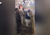 نائب وزیراعظم اسحاق ڈارکی مکّہ جوائنٹ ڈیفنس ایگریمنٹ کے اجلاس میں شرکت سے قبل مدینہ منورہ آمد،روضۂ رسولﷺ پر حاضری دی