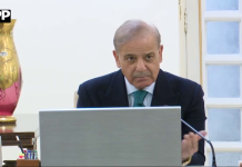 پاکستانی ہنرمند افرادی قوت کو عالمی لیبر مارکیٹ کے معیار سے ہم آہنگ کرنے کی ضرورت ہے ،محمد شہباز شریف