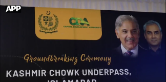 دھرنوں کی سیاست سے معیشت کو نقصان پہنچانا ملک دشمنی ہے، شہباز شریف