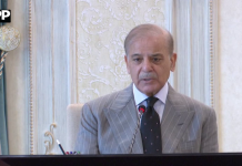 وزیراعظم شہباز شریف سے ذیابیطس کے علاج کے بین الاقوامی ، قومی طبی ماہرین کے وفد کی ملاقات