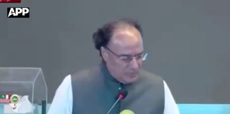 حکومت معیشت کے مختلف شعبوں میں ترقی سمیت سرمایہ کاری کے فروغ پر توجہ دے رہی ہے، وزیر خزانہ