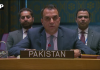 پاکستان کا خطۂ گریٹ لیکس میں پائیدار جنگ بندی اور امن سے متعلق وعدوں پر مؤثر عمل درآمد پر زور