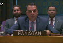 پاکستان کا خطۂ گریٹ لیکس میں پائیدار جنگ بندی اور امن سے متعلق وعدوں پر مؤثر عمل درآمد پر زور
