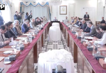 قیمتی پتھروں و جواہرات کے شعبے کی ترقی ترجیحات میں شامل ہیں،وزیراعظم شہباز شریف