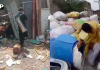 اسلام آباد میں ڈینگی کی روک تھام کے لیے کارروائیاں تیز