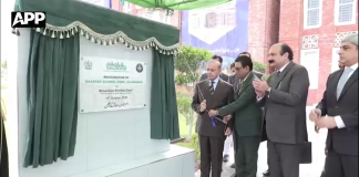 دانش اسکولوں کا قیام غریب بچوں کو معیاری تعلیم کی فراہمی کے وژن کا حصہ ہے، وزیراعظم شہباز شریف
