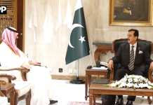 پاکستان سعودی عرب کی یکجہتی ، خودمختاری و علاقائی سالمیت کا حامی، علاقائی صورتحال میں بہتری کے لیے سفارتکاری ضروری ہے،سید یوسف رضا گیلانی