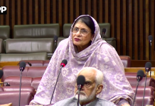 کشمیر میں اقوام متحدہ کی سلامتی کونسل کی قراردادوں پر عملدرآمد نہ ہونا اقوام عالم کے منہ پر ایک طمانچہ ہے،ہمیں مہذب اقوام کو مقبوضہ کشمیر میں بھارتی مظالم بے نقاب کرنے چاہیں، اراکین قومی اسمبلی